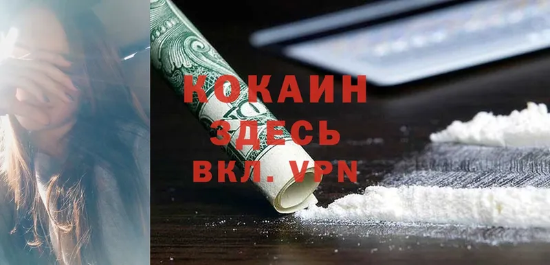 COCAIN Fish Scale  Светлый 